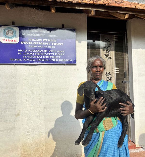 Woman with two goats